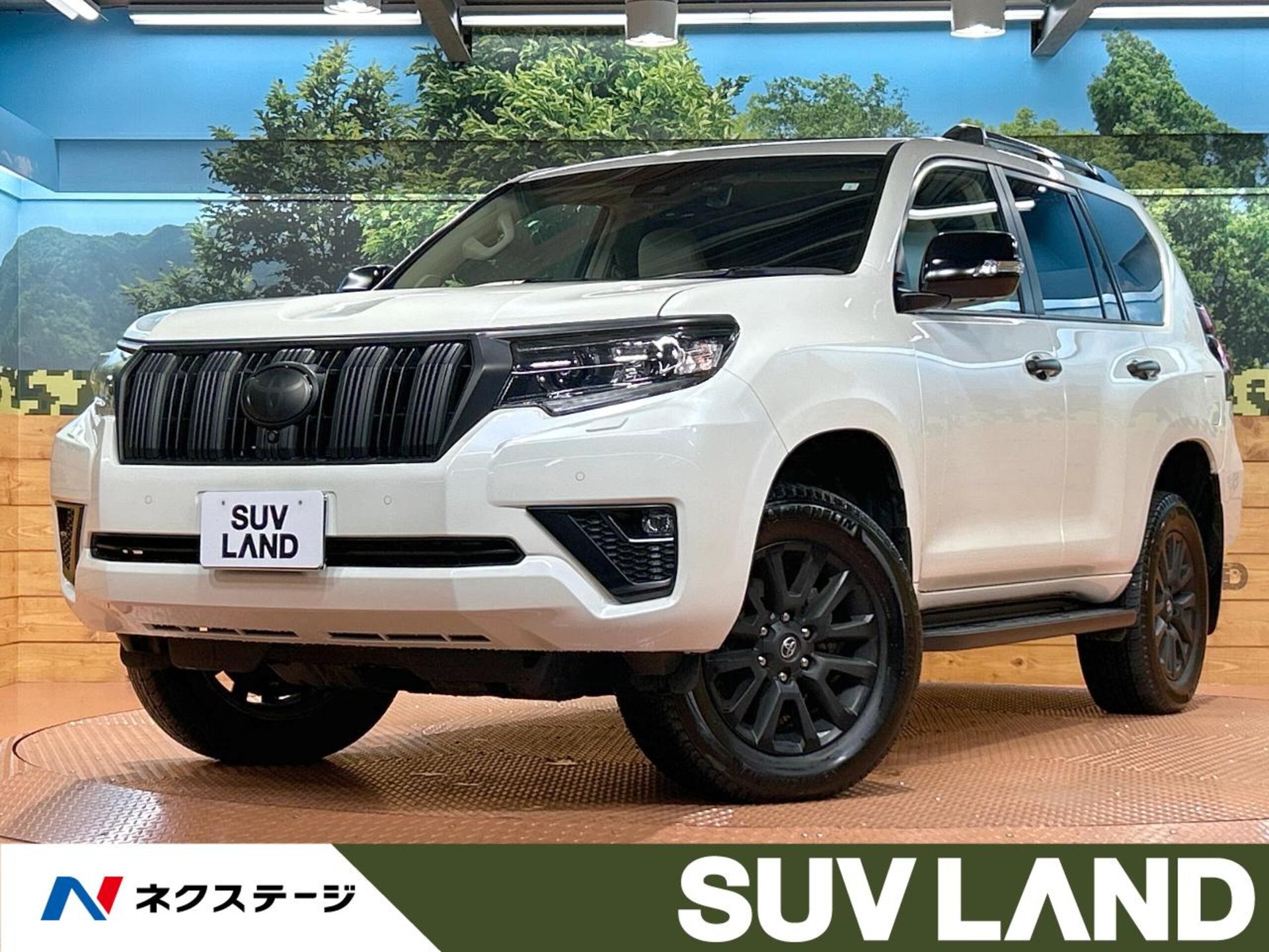 TOYOTA LAND CRUISER PRADO - View 1
