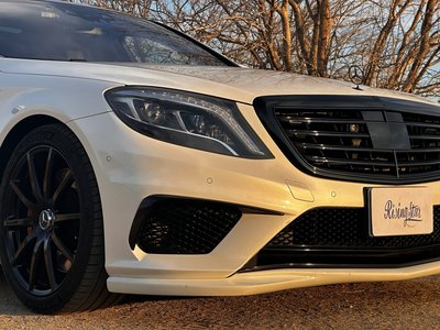 2015 Mercedes-BENZ S-CLASS AMG 缩略图 19