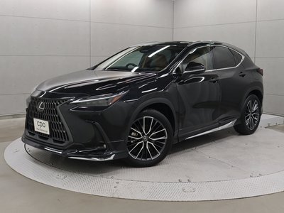 LEXUS NX - 1