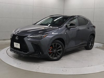 LEXUS NX - 1