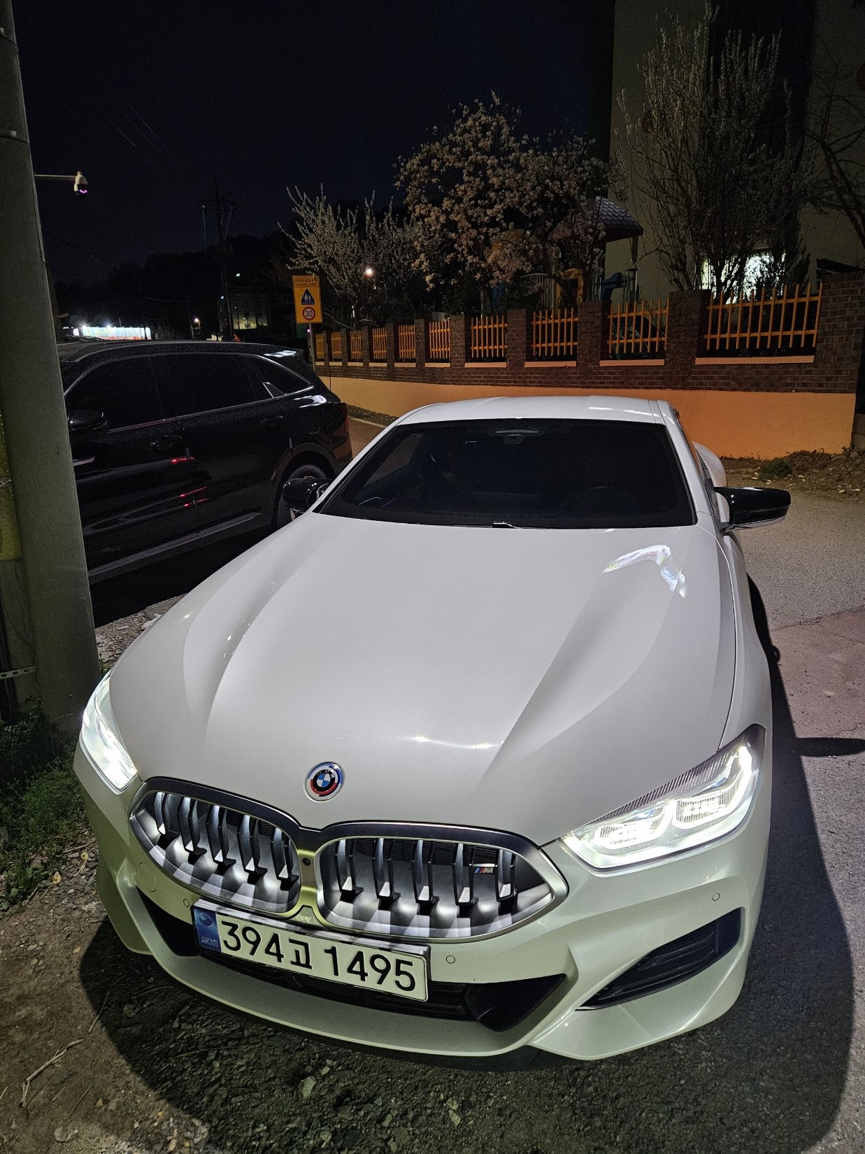 BMW 8 SERIES - View 1