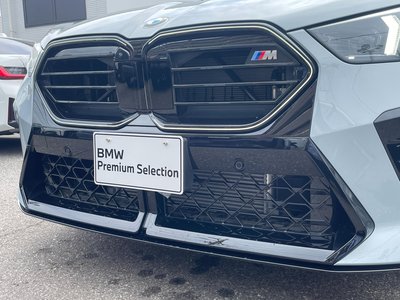2024 BMW X2 缩略图 33