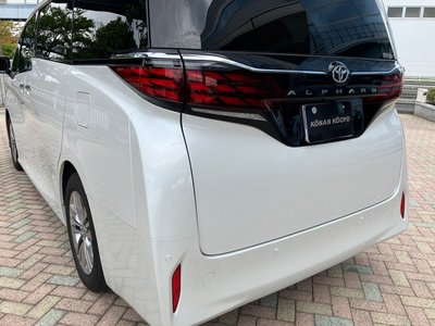 2025 TOYOTA ALPHARD thumbnail 66