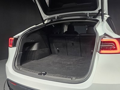 2022 Tesla MODEL Y 缩略图 43