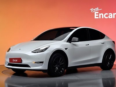 2022 Tesla MODEL Y 照片 1
