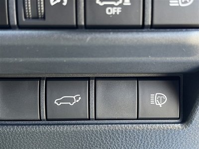 2024 Toyota LAND CRUISER 250 thumbnail 19