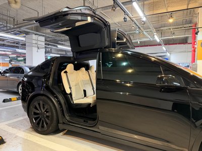 TESLA MODEL X - 10