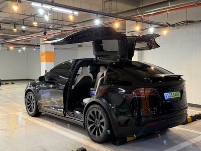 TESLA MODEL X - 6