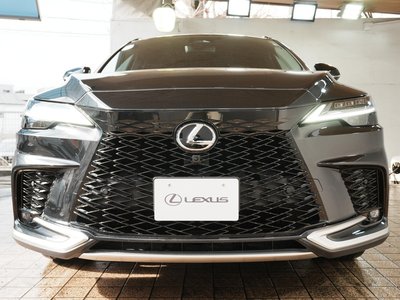 LEXUS RX - 10