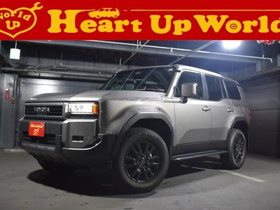 TOYOTA LAND CRUISER 250 - 1