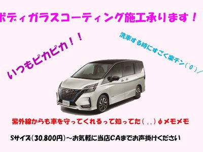 2024 Nissan SKYLINE 缩略图 21