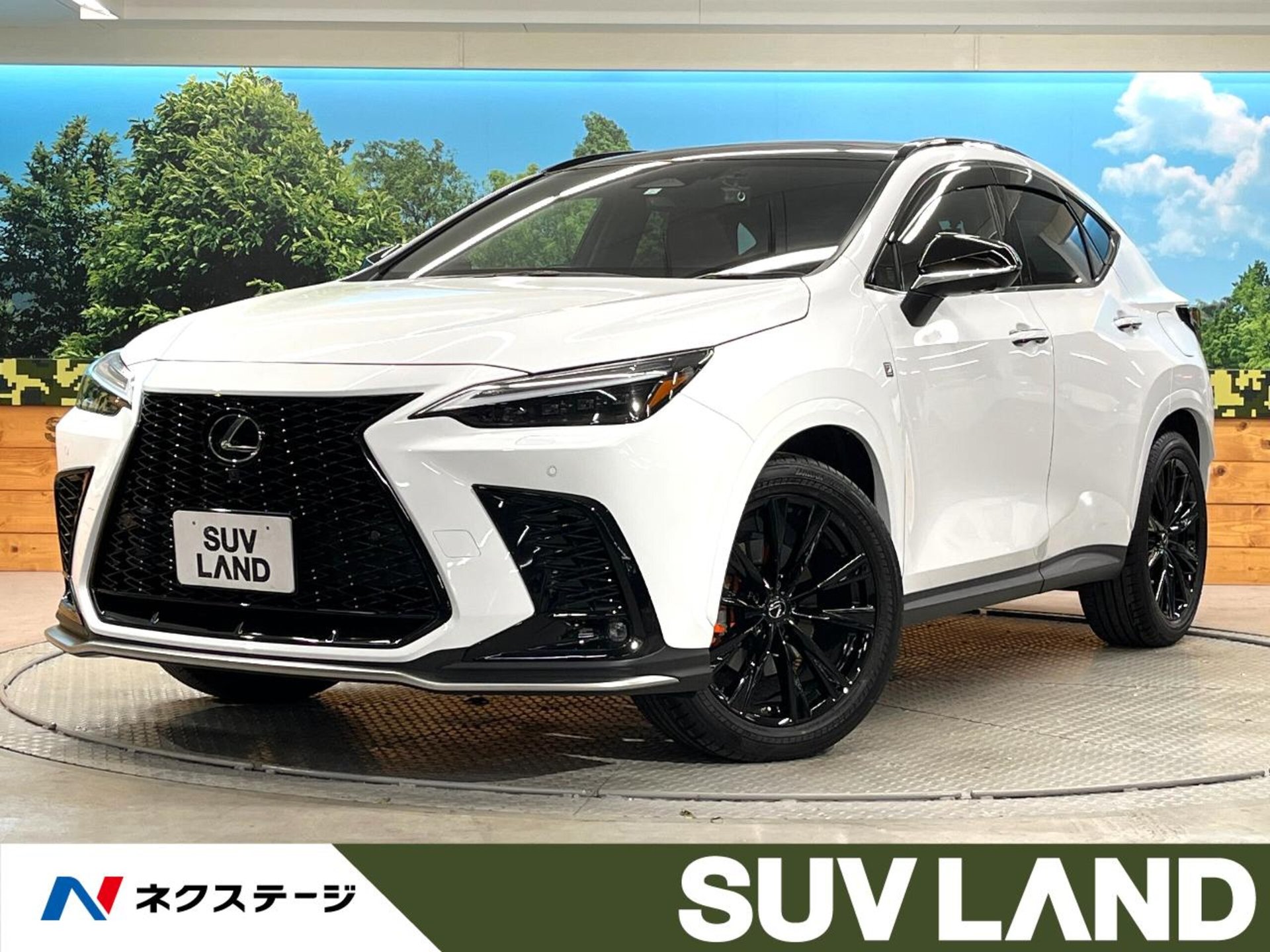 LEXUS NX - View 1