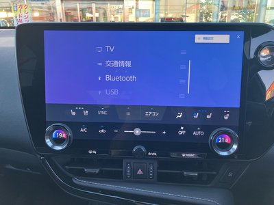 LEXUS NX - 10