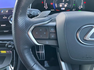 2023 Lexus NX 缩略图 19