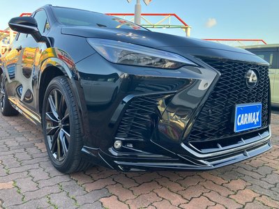 2023 Lexus NX 缩略图 16