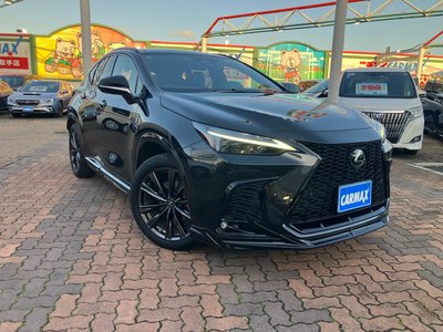 LEXUS NX - 4
