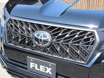 TOYOTA LAND CRUISER PRADO - 8