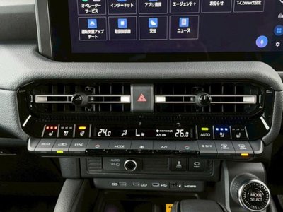 TOYOTA LAND CRUISER 250 - 10