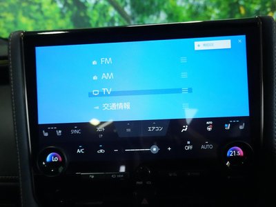 2025 Toyota ALPHARD — фото 9