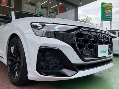 2025 AUDI SQ8 — миниатюра 62