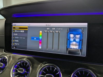 2019 Mercedes-BENZ CLS AMG — миниатюра 31