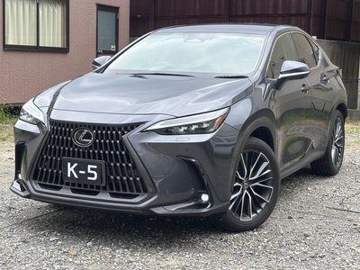 2023 Lexus NX — миниатюра 19