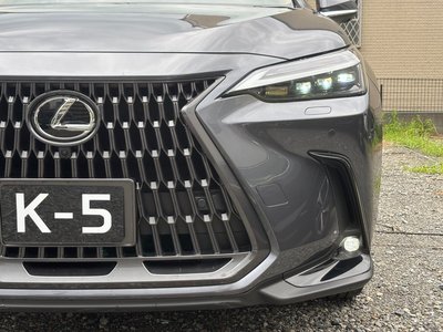 2023 Lexus NX — миниатюра 33