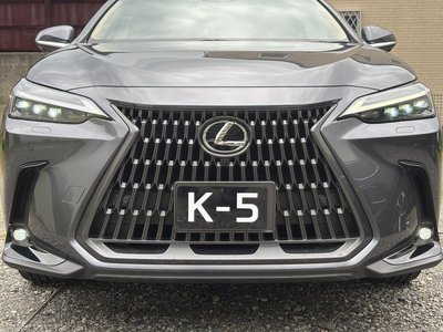 2023 Lexus NX — миниатюра 31