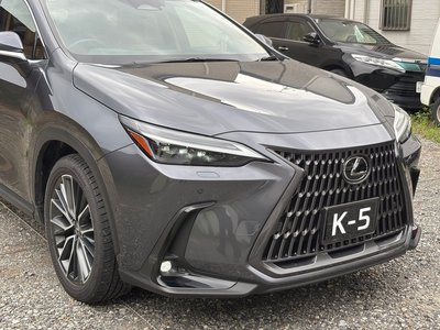 2023 Lexus NX — миниатюра 45