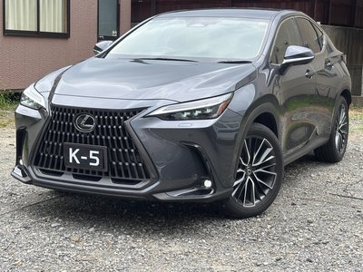 2023 Lexus NX — миниатюра 20