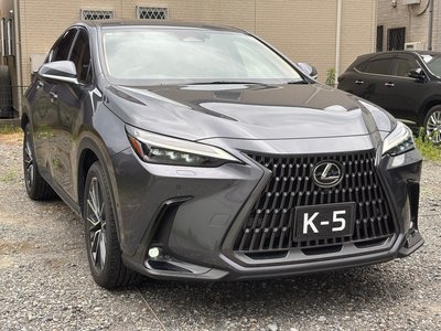 2023 Lexus NX — миниатюра 21