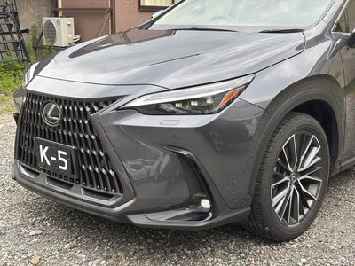 2023 Lexus NX — миниатюра 46
