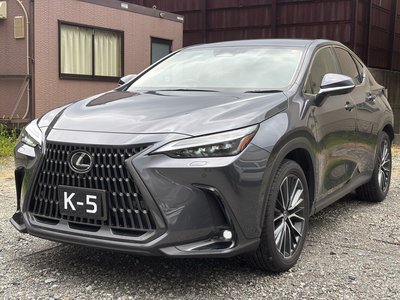 2023 Lexus NX — миниатюра 23