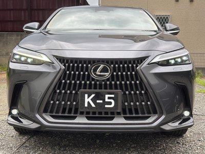 2023 Lexus NX — миниатюра 22