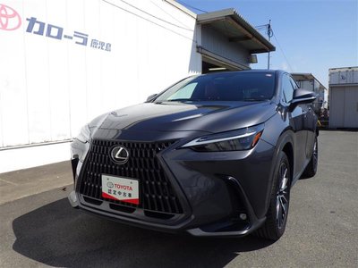 LEXUS NX - 10