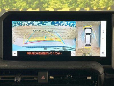 TOYOTA LAND CRUISER 250 - 6