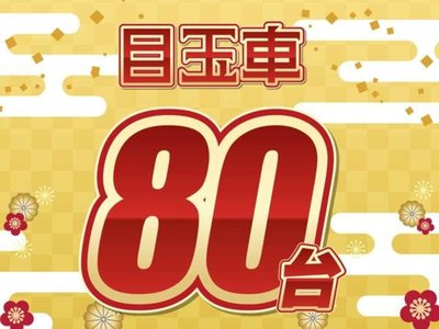 TOYOTA LAND CRUISER 250 - 3