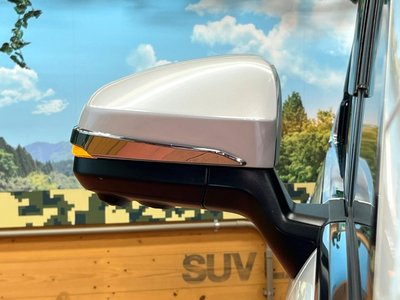 2024 Toyota ALPHARD thumbnail 28