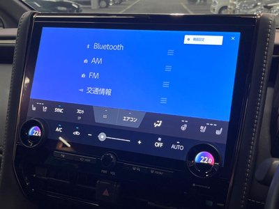 2024 Toyota ALPHARD thumbnail 49