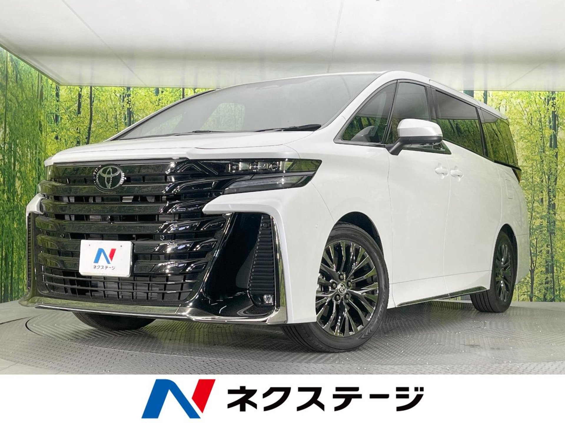 TOYOTA VELLFIRE - View 1