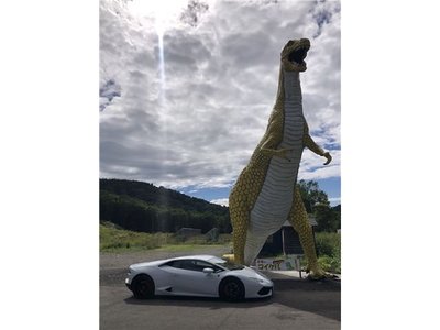 2016 Lamborghini HURACAN — миниатюра 80