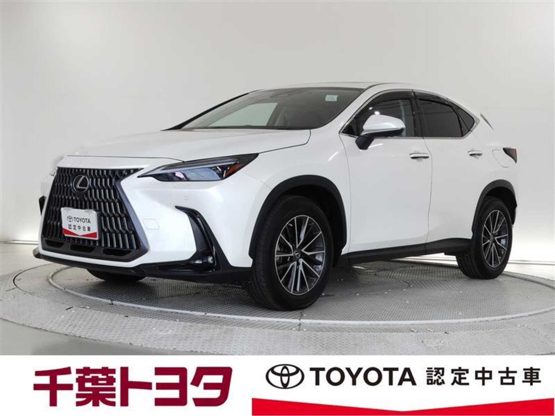 LEXUS NX - View 1