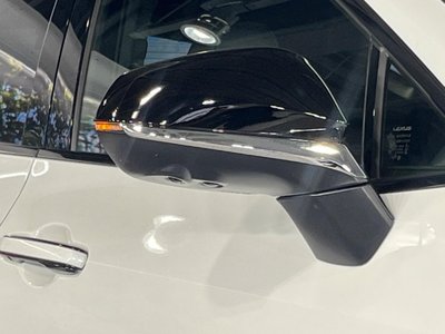 2024 Lexus NX 缩略图 62