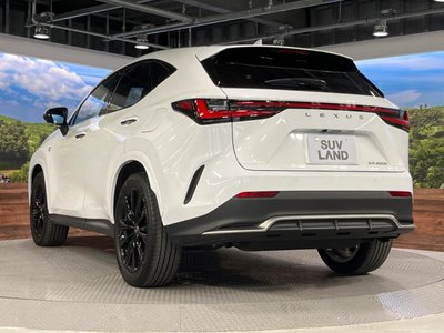 2024 Lexus NX 缩略图 65