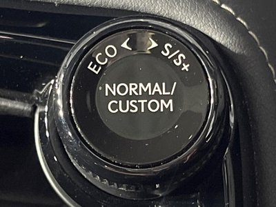 2024 Lexus NX 缩略图 38
