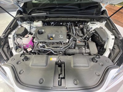 2024 Lexus NX 缩略图 18