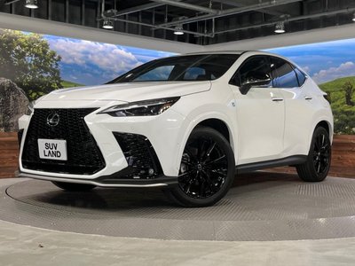 2024 Lexus NX 缩略图 64