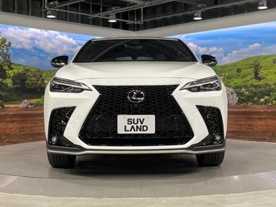 2024 Lexus NX 缩略图 15