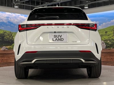 2024 Lexus NX 缩略图 16