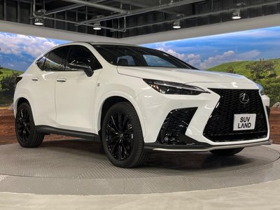 2024 Lexus NX 缩略图 17